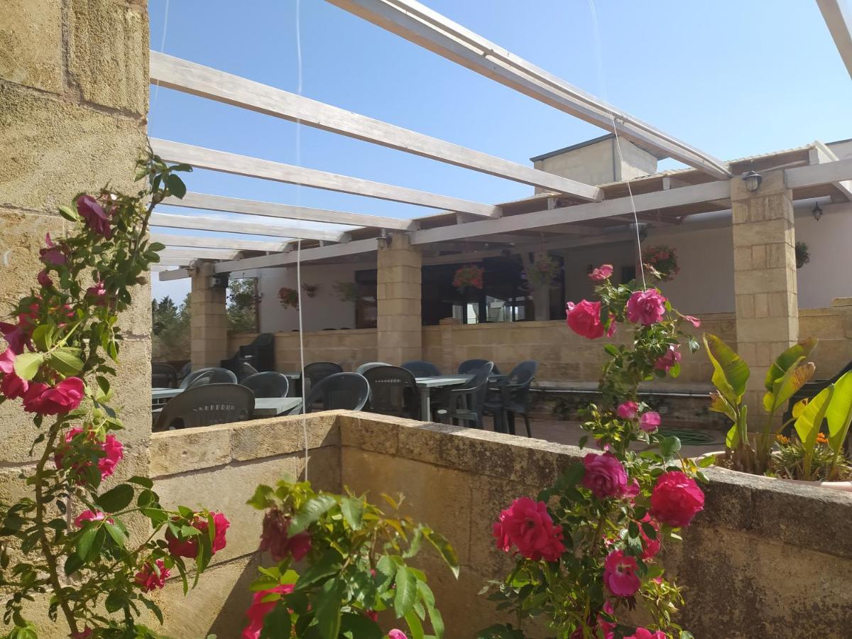 Agriturismo "Terra D'Ulivi" Porto Cesareo Buitenkant foto