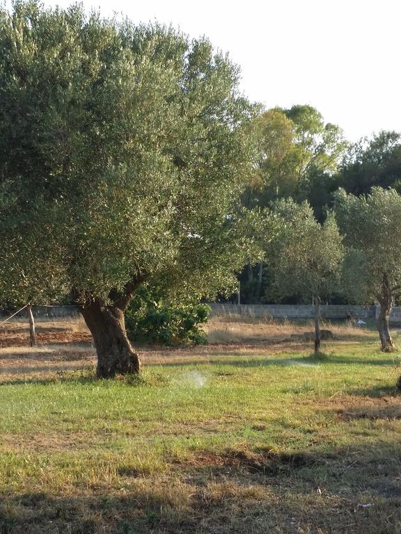 Agriturismo "Terra D'Ulivi" Porto Cesareo Buitenkant foto
