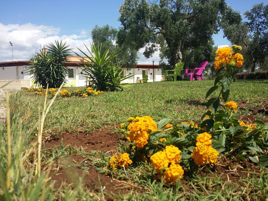 Agriturismo "Terra D'Ulivi" Porto Cesareo Buitenkant foto